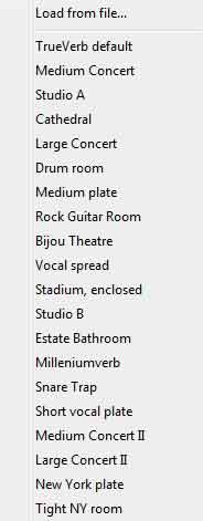Graphic - the factory pre-sets that come with Waves True Verb plugin